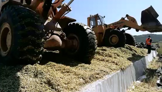 5dafb830c8566.jpg 2.jpg