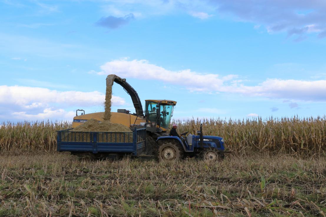 5dafb878caae6.jpg 3.jpg