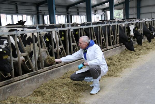 5dbdb9467ef1b.jpg 1.jpg